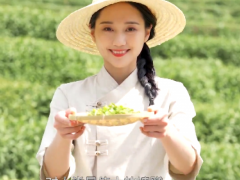 ,温馨呵护——茶益康