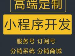 定制小程序开发，小程序定制，商城小程序量身定制开发