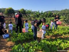 户外野炊烧烤在内深圳适合的地方