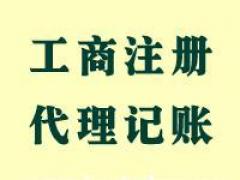 公司代办营业执照 代理公司记账报税