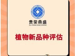 成都市温江区特许经营权评估植物新品种评估