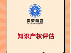 四川计算机软件著作权知识产权评估