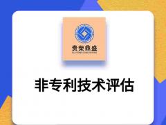 北京市西城区专利评估入股非专利技术评估出资