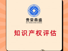 四川省成都市知识产权评估专利商标软著评估公司