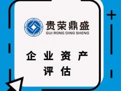 成都股权评估企业评估企业资产评估企业价值评估