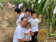 宝安周边亲子游适合出行游玩打卡的地方