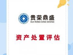 成都固定资产评估流动资产评估资产处置评估