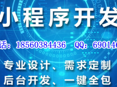 微信小程序定制开发,小程序商城定制开发,实体公司专业高效