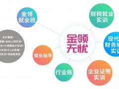 零基础学会计做账实操 老会计手把手教 包学会