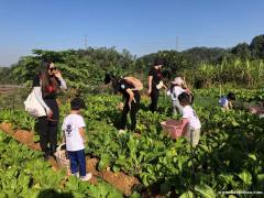 亲子游组团种菜农场推荐