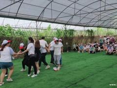 深圳春天公司团建除了游泳赶海还能干嘛