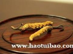 高价回收冬虫夏草13522270252回收海参燕窝