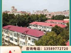 陕西延安树脂彩瓦 树脂竹节瓦 景区楼顶别墅瓦防火阻燃