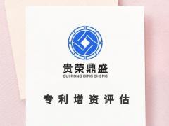 绵阳市软著出资评估商标评估专利增资评估