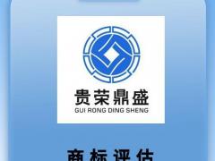 成都市品牌价值评估商标评估专利实缴评估软著出资评估