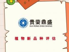 龙岩市植物新品种价值评估专利认缴评估商标实缴评估软著出资评估