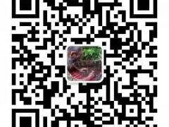 周易算八字算姻缘事业财运健康六爻奇门风水大师