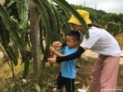 深圳周边自驾游可以野炊烧烤农家乐可以采摘游玩网红打卡地方