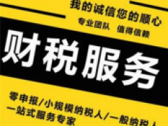 北京西城区代理记账公司注册财务会计服务