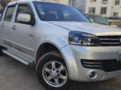 长城 风骏5 2013款 2.4L欧洲版 两驱领航型大双排4