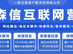 太原SEO搜索引擎优化找山西桦森信