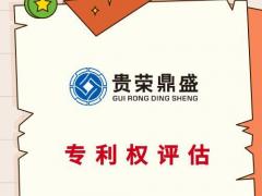 龙岩市专利注资评估知识产权评估软著商标出资评估