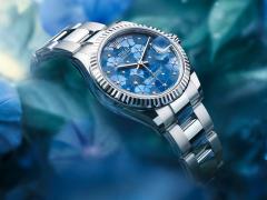 Rolex劳力士新款日志型腕表