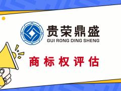 宁德市专利注资评估知识产权评估软著商标出资评估