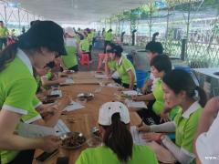 深圳坪山周边团建适合在哪龙岗亲子游好去处九龙生态园