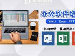 成人办公软件培训 年纪大都可以学 表格文档培训