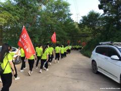 深圳公司团建值得好地方坪山区九龙生态园