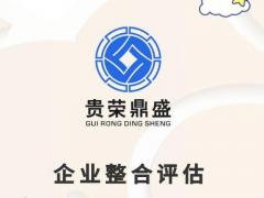 公司价值评估股东全部权益价值评估股权评估