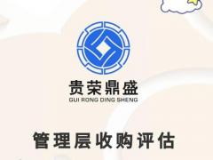 整体评估股权变更评估部分股东权益价值评估