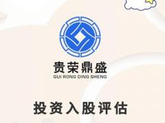 整体评估股权变更评估部分股东权益价值评估