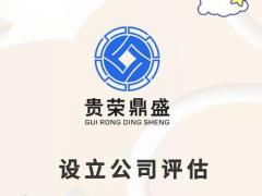 企业股权价值评估股东价值评估企业负债评估