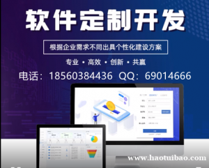 软件定制开发，实体公司专业开发各类APP小程序网站