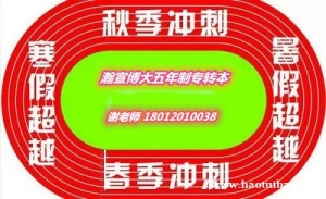 2022五年制专转本暑集训营开始报名啦，线下集中培训辅导