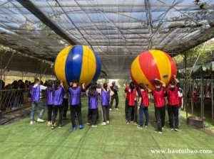 深圳农家乐九龙生态园本年度项目排行榜位列前茅的拓展项目