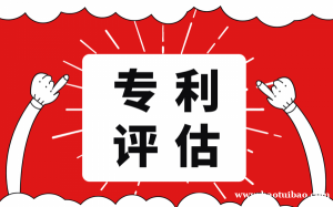 山东省淄博市专利评估注册资金评估技术评估