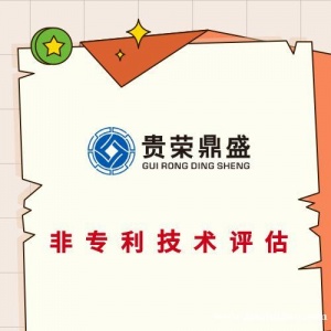 河南省南阳市商标评估无形知识产权评估专利技术出资评估
