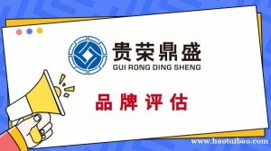 成都市高新区商标评估无形知识产权评估专利技术出资评估