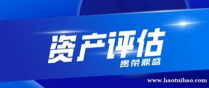 山东省济宁市专利评估知识产权评估方法有哪些字号评估公司