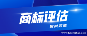 山东省威海市专利评估知识产权商业秘密评估个人无形资产评估