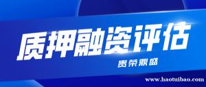 山东省临汾市软著评估知识产权评估收费商标价值如何评估