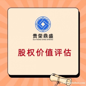 广东省肇庆市股权转让评估企业净资产评估企业价值评估