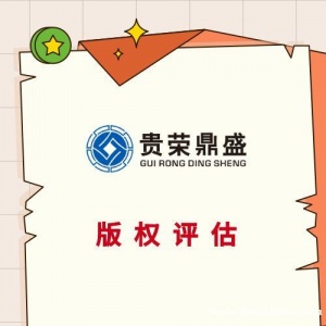广东省阳江市专利评估