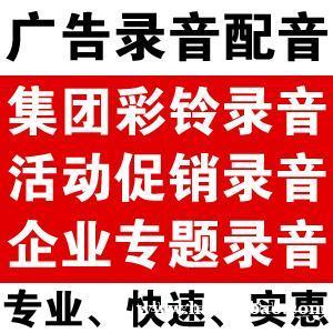中国黄金企业录音，企业网站专业办理