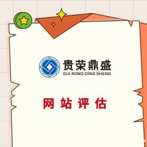海南省海口市网站评估APP评估营销网络评估