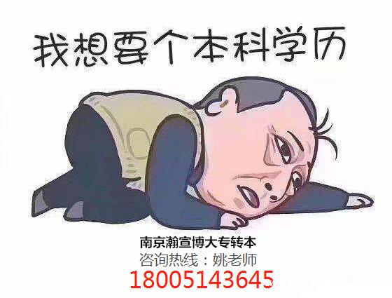 暑已到,备考五年制专转本需要注意哪些问题,姚老师帮你总结! 暑已到,备考五年制专转本需要注意哪些问题,姚老师帮你总结!