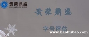 四川省成都市无形资产评估字号评估今日更新